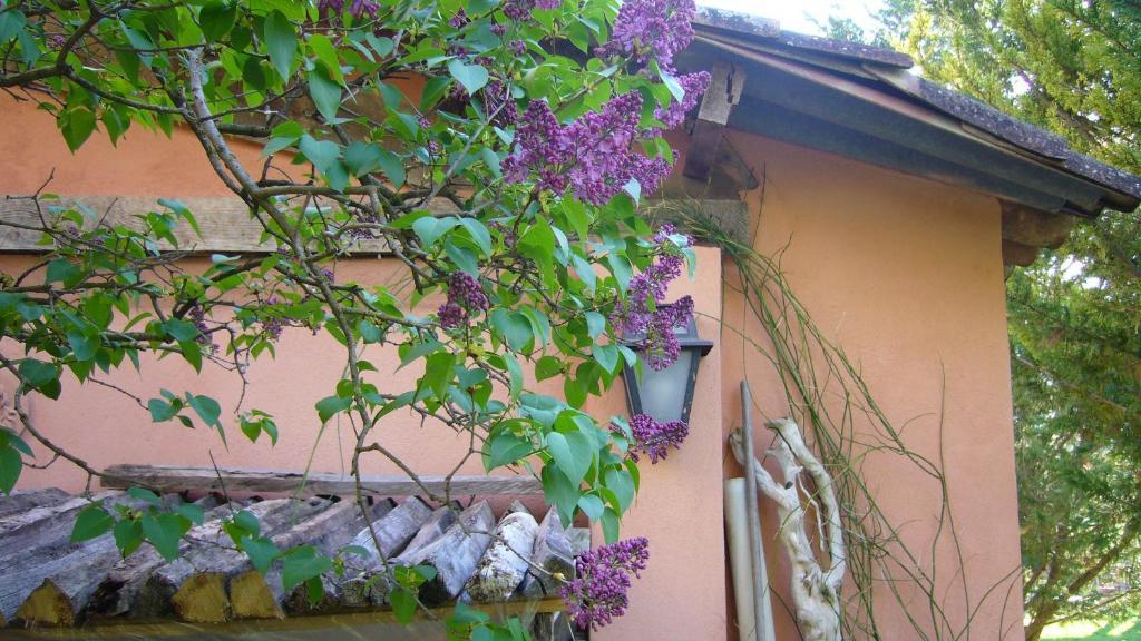 La Maison De Melen Мустие Сен Мари Екстериор снимка