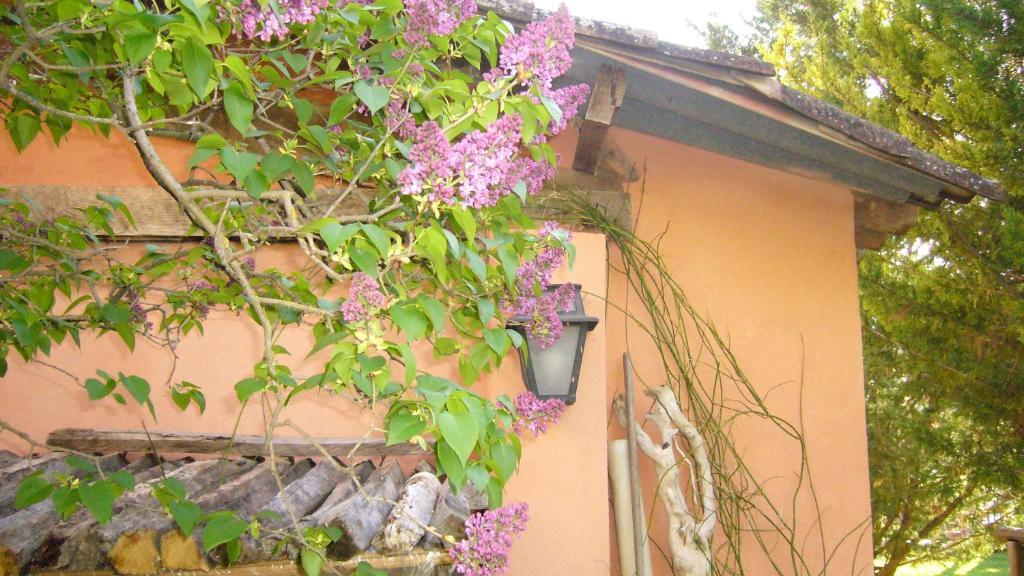 La Maison De Melen Мустие Сен Мари Екстериор снимка